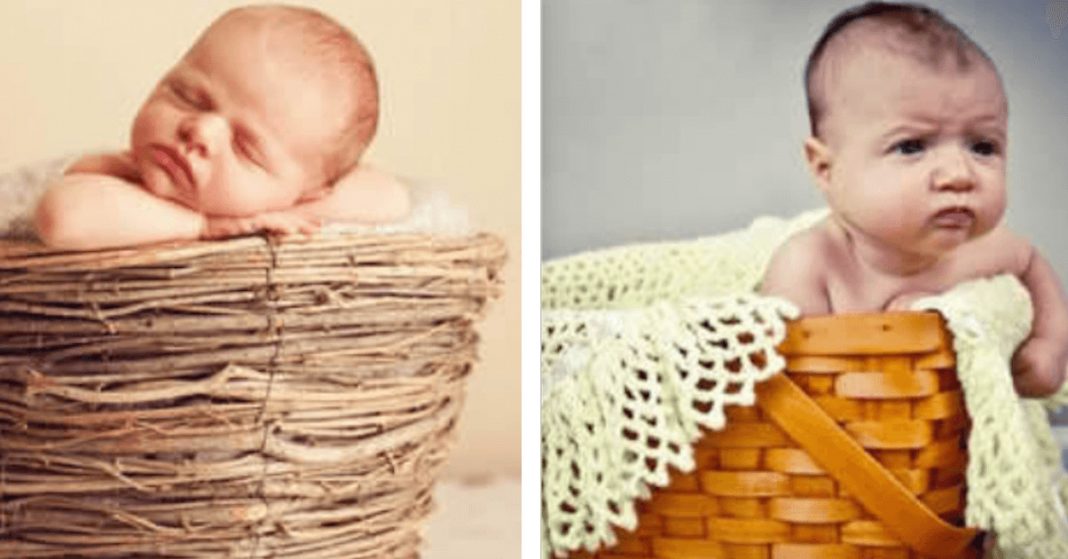 24 bebés que arruinaram a sessão fotográfica