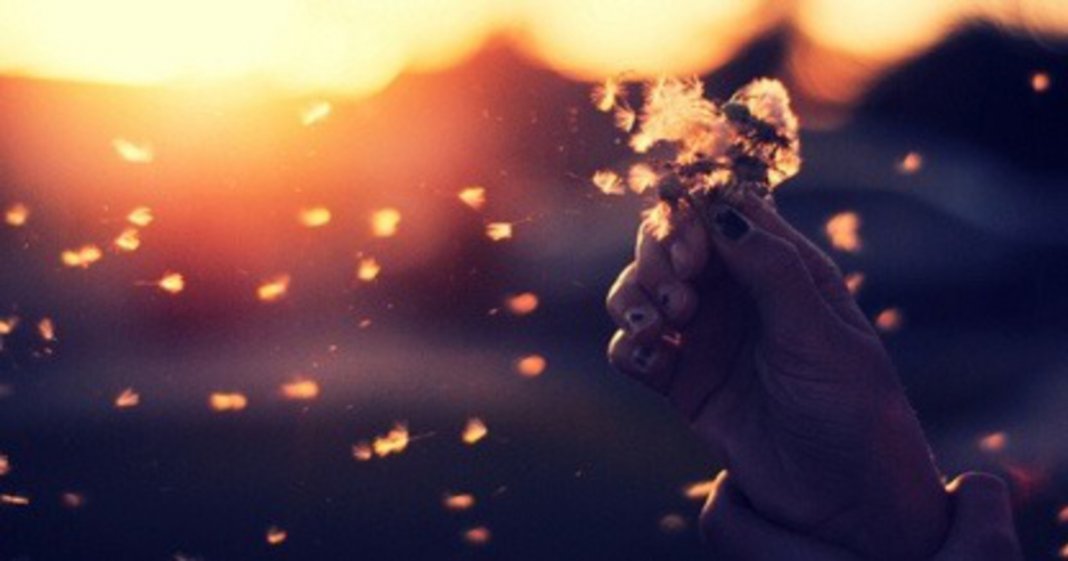 Signos – Previsões para a Próxima Semana (1 de Maio a 7 de Maio)