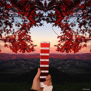 inspiringlife.pt - Designer gráfico italiano encontra cores Pantone em paisagens naturais e citadinas