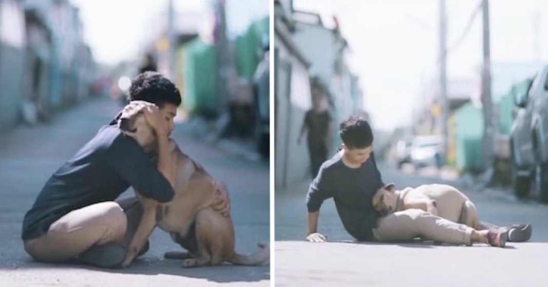 Rapaz abraça cães de rua pela primeira vez e as reacções são absolutamente fantásticas
