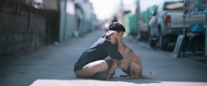 inspiringlife.pt - Rapaz abraça cães de rua pela primeira vez e as reacções são absolutamente fantásticas