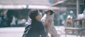 inspiringlife.pt - Rapaz abraça cães de rua pela primeira vez e as reacções são absolutamente fantásticas