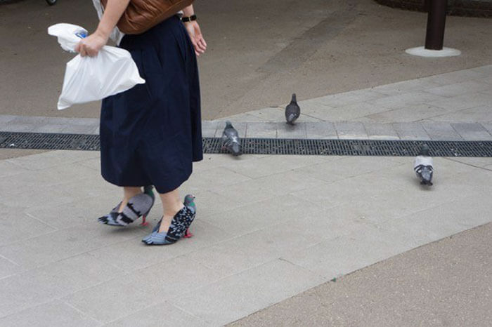 inspiringlife.pt - Sapatos em forma de pomba estão a gerar controvérsia nas redes sociais