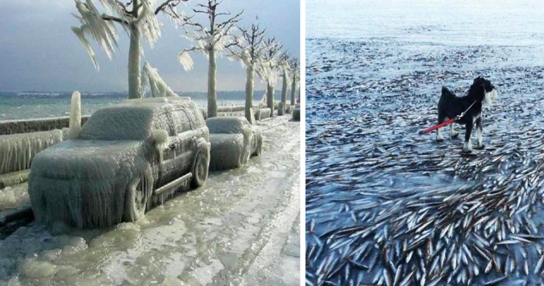 14 fotos impressionantes que mostram o poder do frio