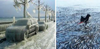 14 fotos impressionantes que mostram o poder do frio