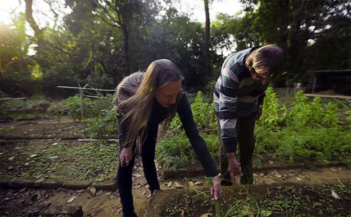 inspiringlife.pt - Casal passou os últimos 26 anos a replantar floresta que comprou em 1991