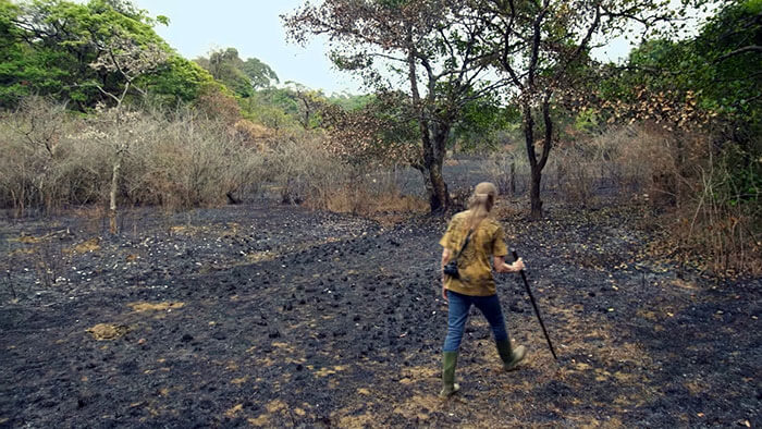 inspiringlife.pt - Casal passou os últimos 26 anos a replantar floresta que comprou em 1991