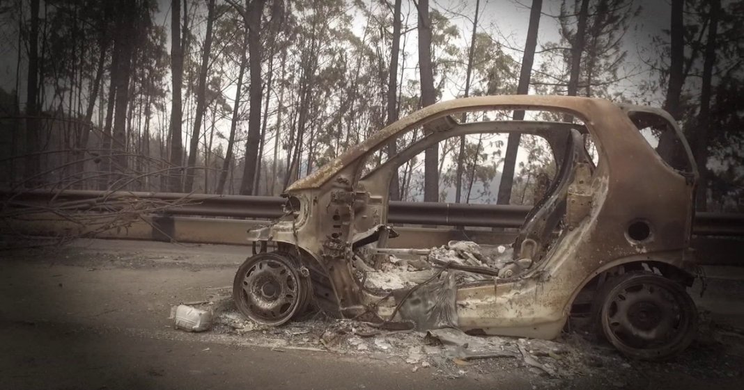 Vídeo de homenagem às vítimas do incêndio de Pedrógrão Grande torna-se viral nas redes sociais