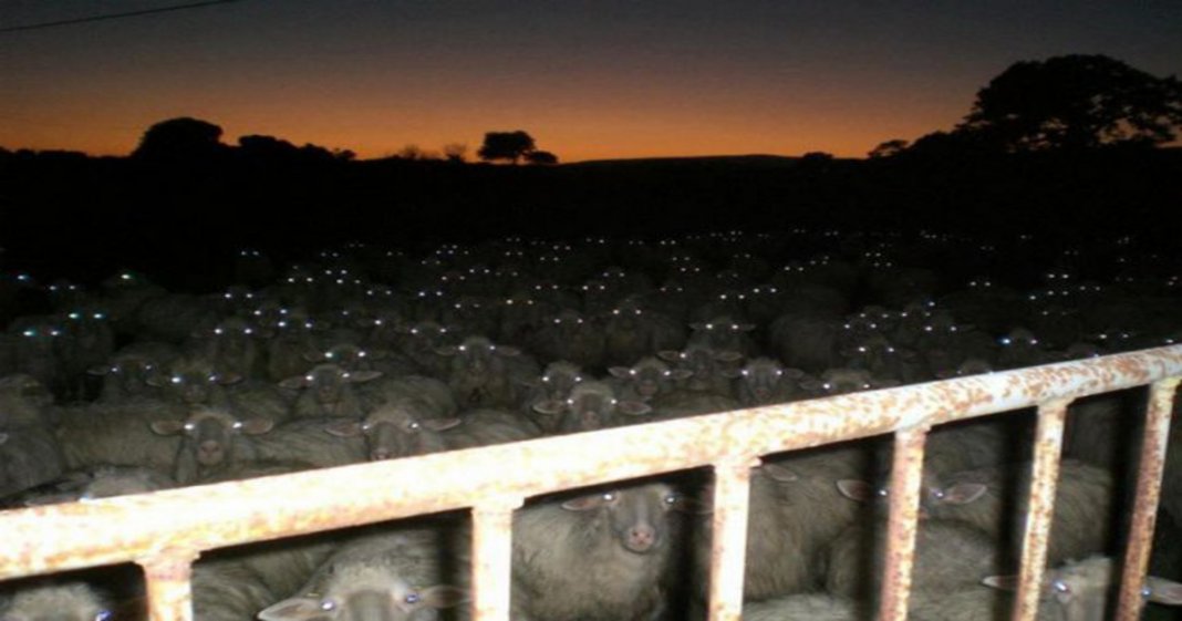 13 imagens que te vão fazer ter medo do escuro