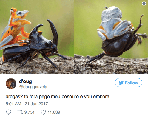 inspiringlife.pt - 13 tweets hilariantes que provam que o povo brasileiro é o mais engraçado de sempre