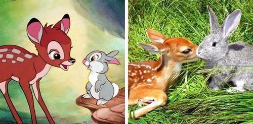 inspiringlife.pt - 14 animais que são cópias exactas de personagens de desenhos animados