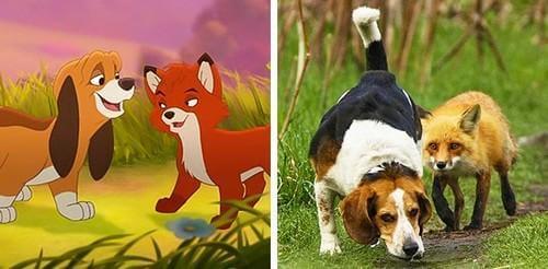 inspiringlife.pt - 14 animais que são cópias exactas de personagens de desenhos animados