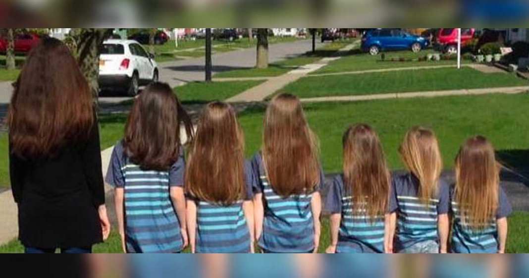 6 meninos deixaram crescer os seus cabelos para os doarem a vítimas de cancro