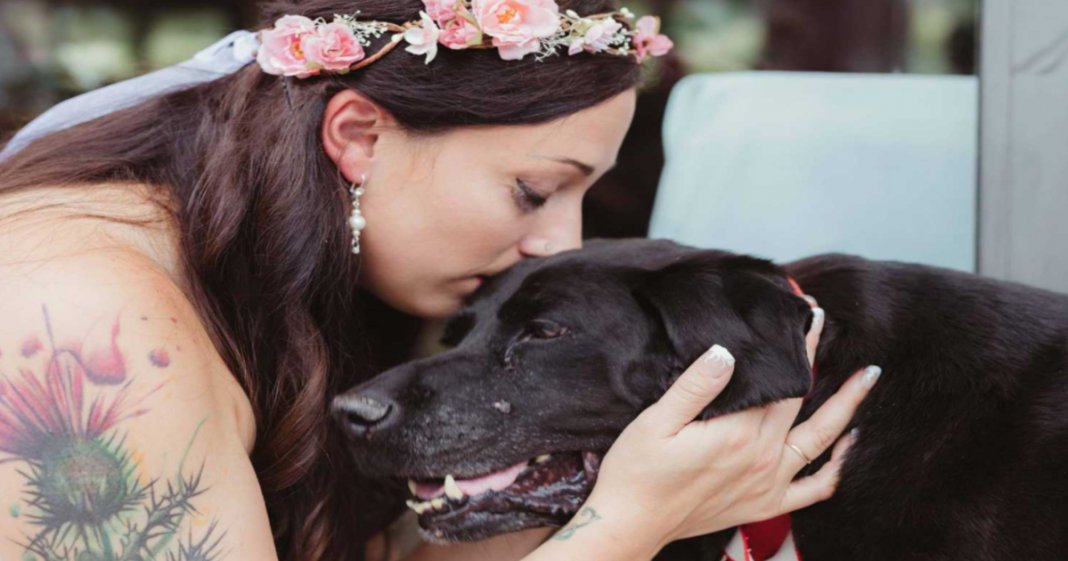 Cachorro com doença em fase terminal acompanha dona no seu casamento