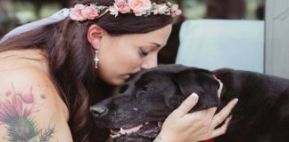 Cachorro com doença em fase terminal acompanha dona no seu casamento