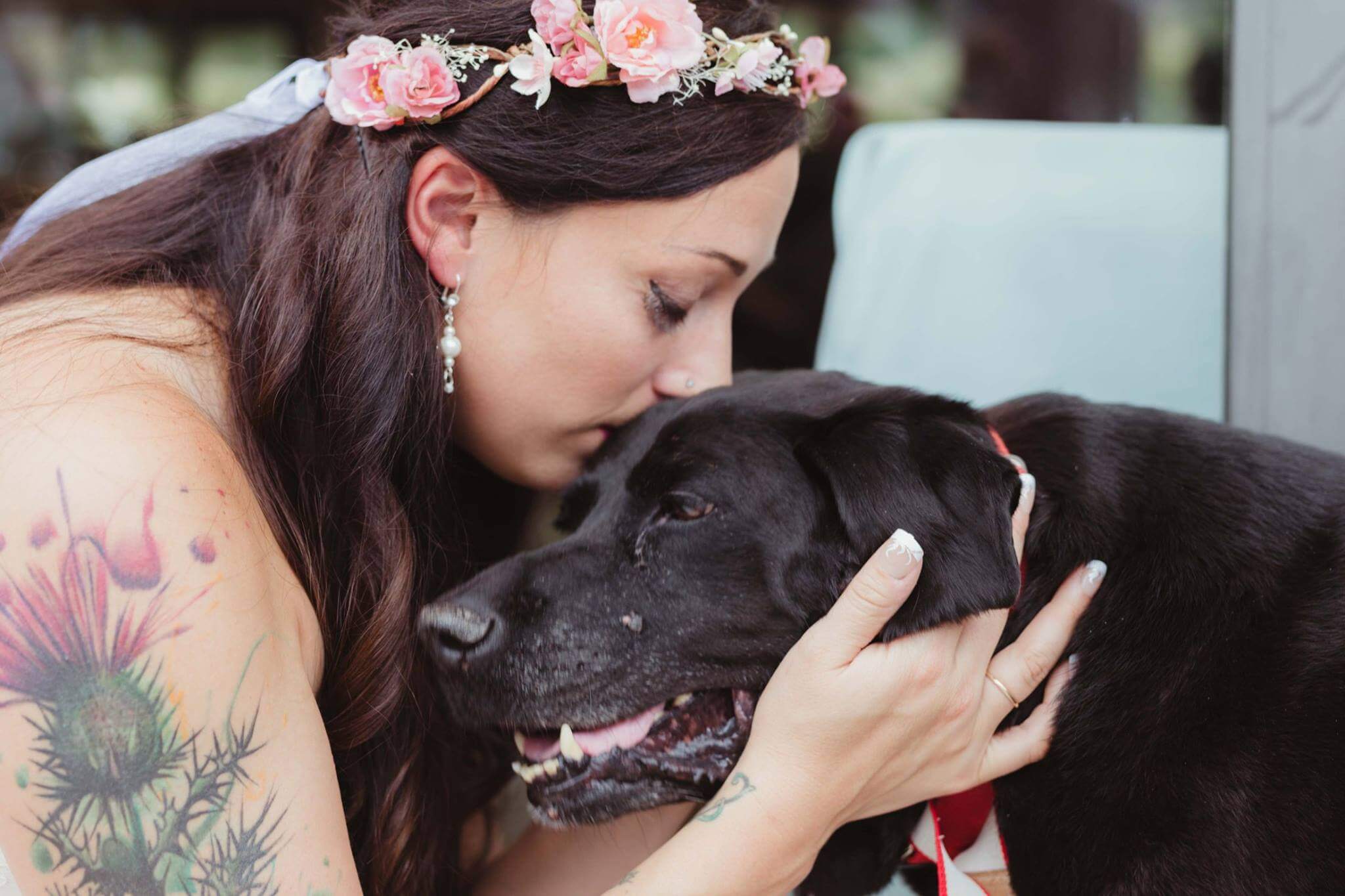 inspiringlife.pt - Cachorro com doença em fase terminal acompanha dona no seu casamento