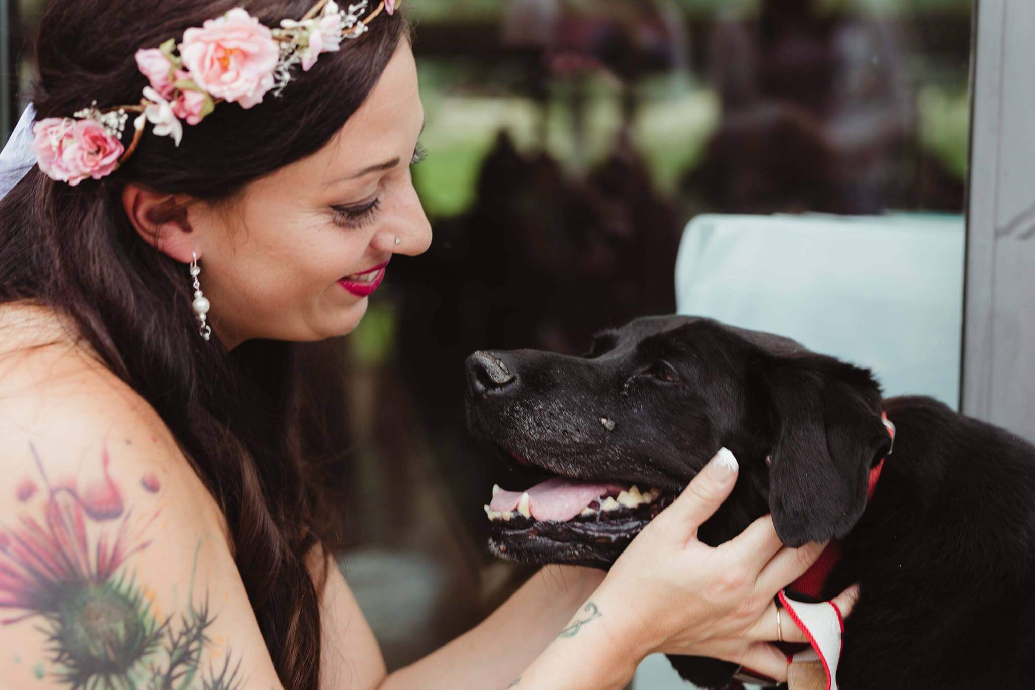 inspiringlife.pt - Cachorro com doença em fase terminal acompanha dona no seu casamento