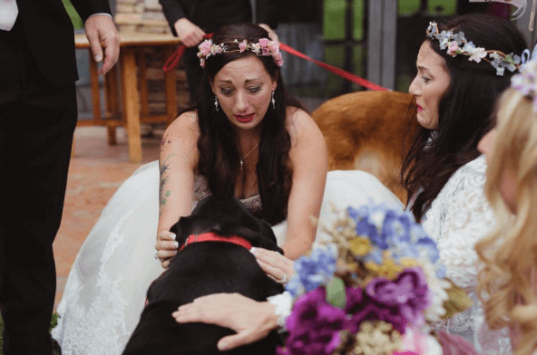 inspiringlife.pt - Cachorro com doença em fase terminal acompanha dona no seu casamento