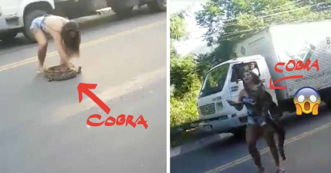 Mulher agarra jibóia enorme com as próprias mãos e tira-a do meio da estrada