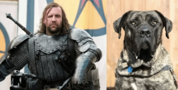 inspiringlife.pt - 10 animais que se parecem com personagens de "Game of Thrones"