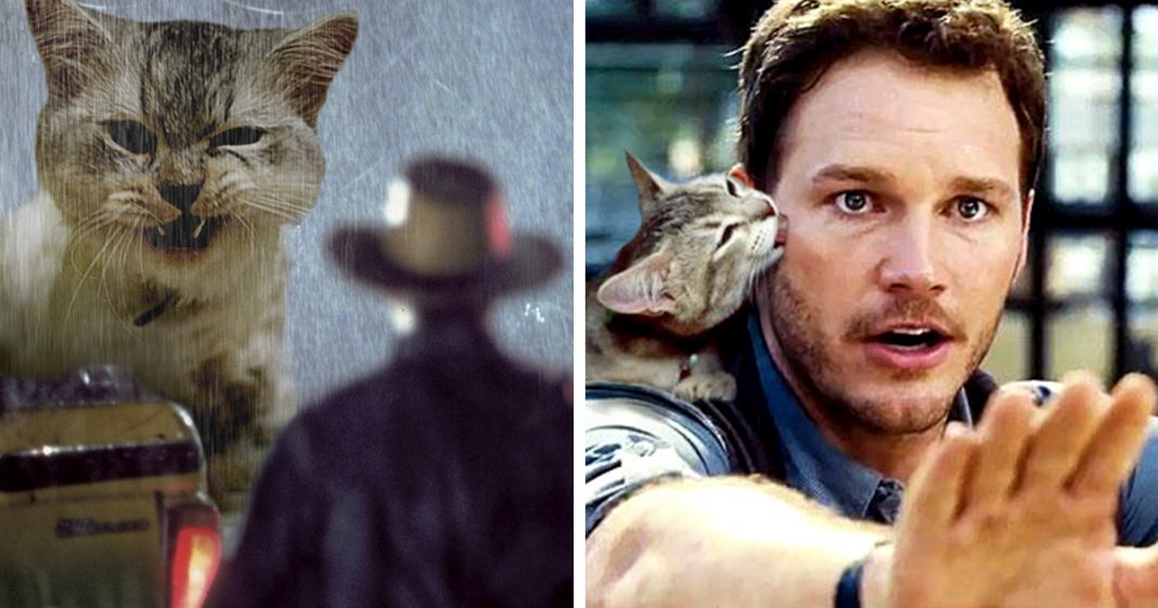 21 montagens hilariantes de gatos a “substituirem” os dinossauros em Jurassic Park