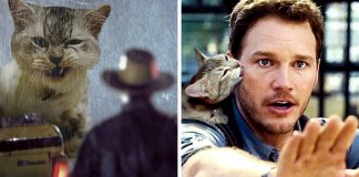 21 montagens hilariantes de gatos a “substituirem” os dinossauros em Jurassic Park