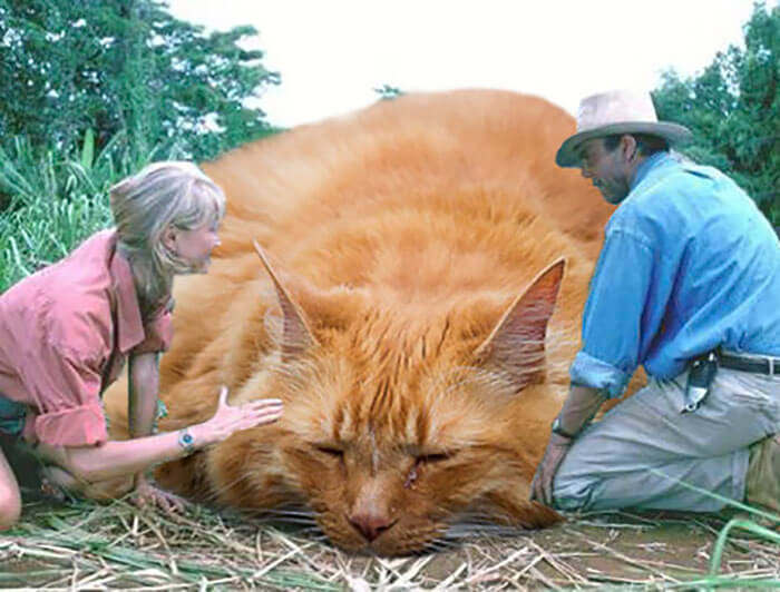 inspiringlife.pt - 21 montagens hilariantes de gatos a "substituirem" os dinossauros em Jurassic Park