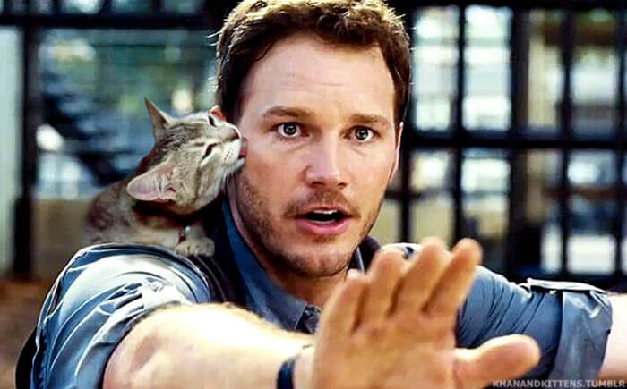 inspiringlife.pt - 21 montagens hilariantes de gatos a "substituirem" os dinossauros em Jurassic Park