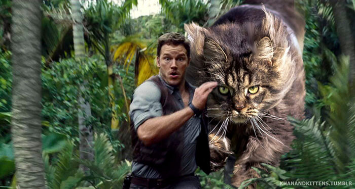 inspiringlife.pt - 21 montagens hilariantes de gatos a "substituirem" os dinossauros em Jurassic Park