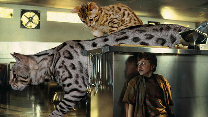 inspiringlife.pt - 21 montagens hilariantes de gatos a "substituirem" os dinossauros em Jurassic Park