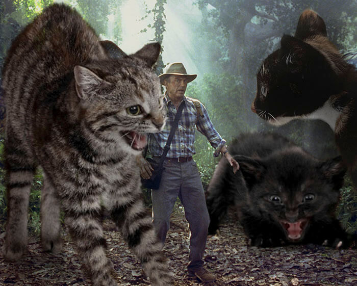 inspiringlife.pt - 21 montagens hilariantes de gatos a "substituirem" os dinossauros em Jurassic Park