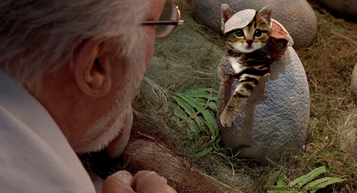 inspiringlife.pt - 21 montagens hilariantes de gatos a "substituirem" os dinossauros em Jurassic Park