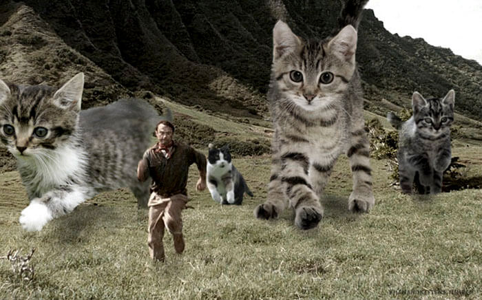 inspiringlife.pt - 21 montagens hilariantes de gatos a "substituirem" os dinossauros em Jurassic Park