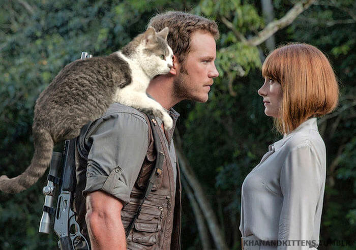 inspiringlife.pt - 21 montagens hilariantes de gatos a "substituirem" os dinossauros em Jurassic Park