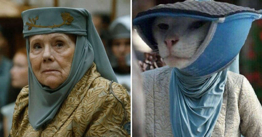 10 animais que se parecem com personagens de “Game of Thrones”