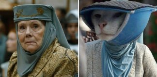 10 animais que se parecem com personagens de “Game of Thrones”