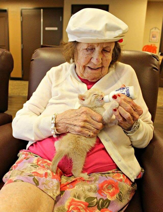 inspiringlife.pt - Centro de abrigo de animais e lar de idosos unem-se para salvar gatinhos recém-nascidos