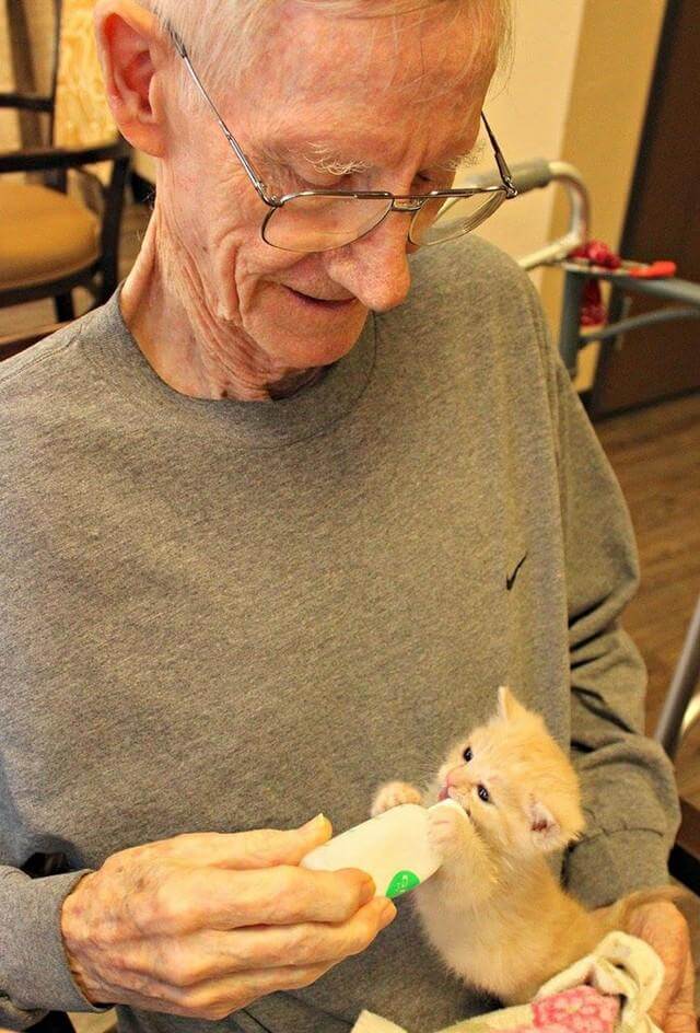 inspiringlife.pt - Centro de abrigo de animais e lar de idosos unem-se para salvar gatinhos recém-nascidos