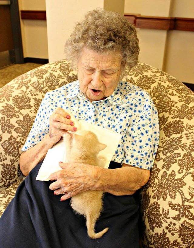 inspiringlife.pt - Centro de abrigo de animais e lar de idosos unem-se para salvar gatinhos recém-nascidos