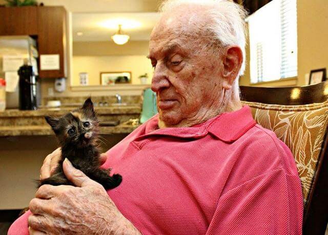 inspiringlife.pt - Centro de abrigo de animais e lar de idosos unem-se para salvar gatinhos recém-nascidos