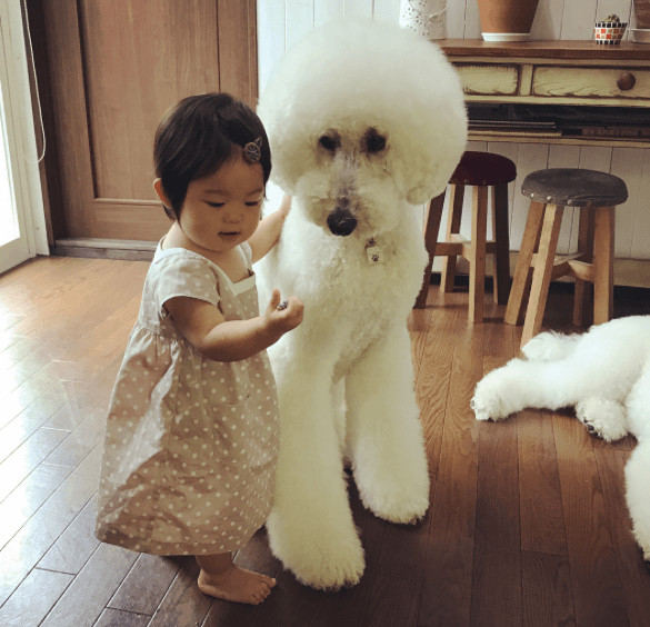 inspiringlife.pt - Menina e o seu poodle tornam-se virais nas redes sociais pela sua imensa fofura