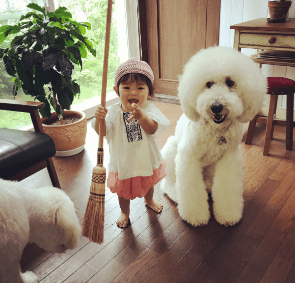 inspiringlife.pt - Menina e o seu poodle tornam-se virais nas redes sociais pela sua imensa fofura