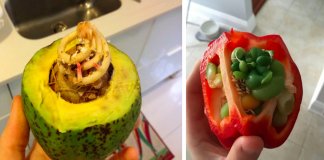 14 vegetais e frutas que decidiram começar a brotar cedo demais