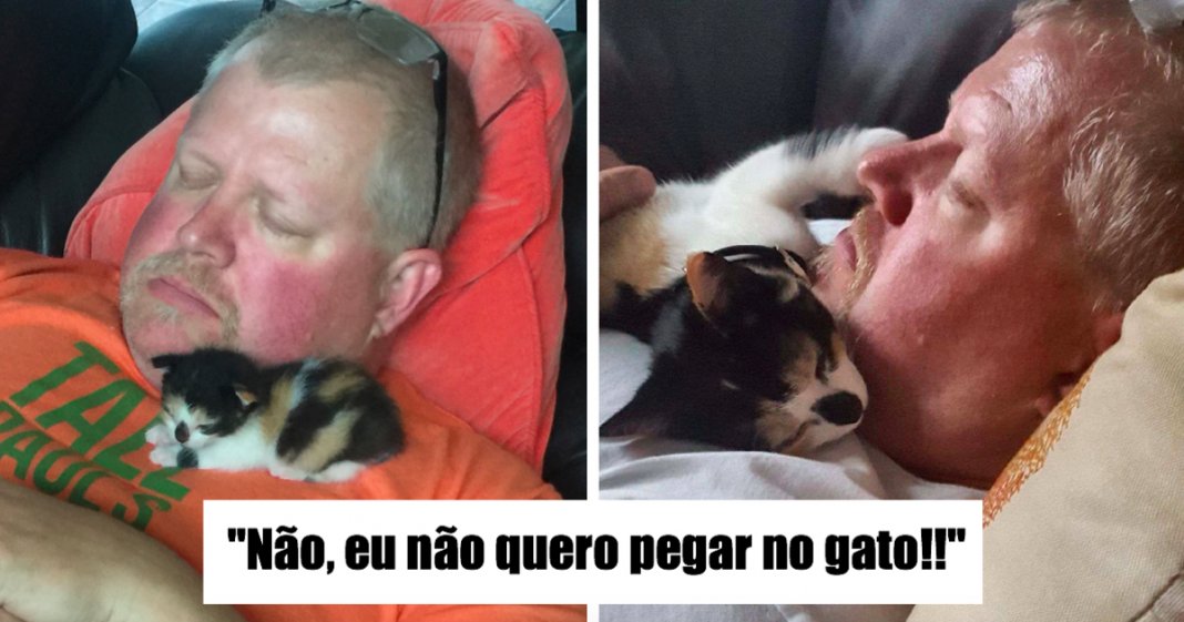 23 pessoas que sempre disseram que nunca na vida iriam gostar gatos