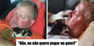 23 pessoas que sempre disseram que nunca na vida iriam gostar gatos