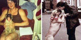 Emocionante homenagem de Sylvester Stallone ao seu falecido cachorro torna-se viral