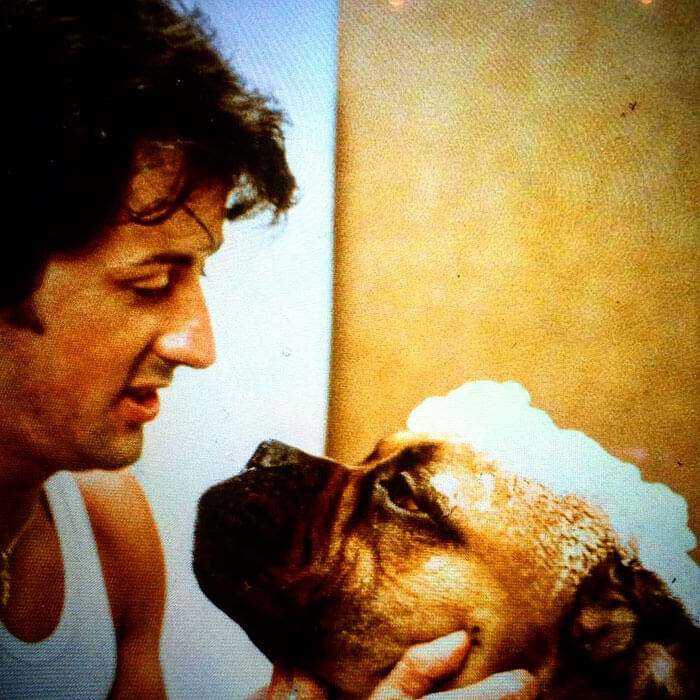 inspiringlife.pt - Emocionante homenagem de Sylvester Stallone ao seu falecido cachorro torna-se viral