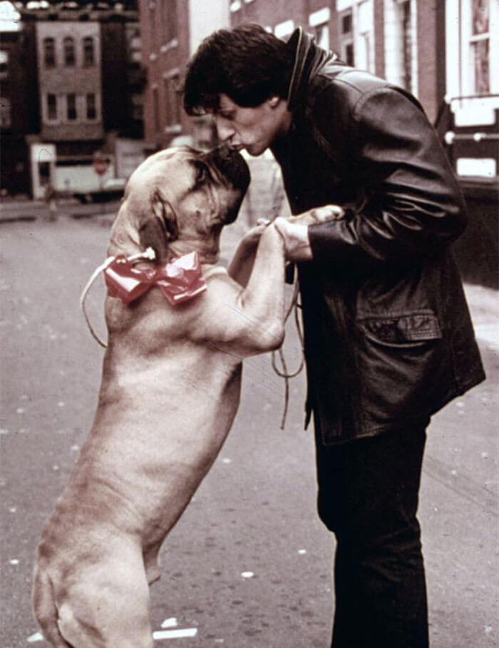 inspiringlife.pt - Emocionante homenagem de Sylvester Stallone ao seu falecido cachorro torna-se viral