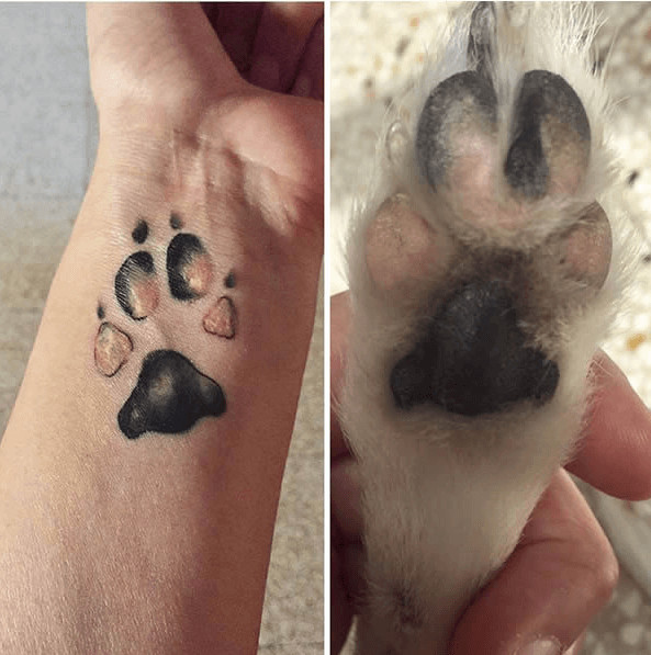 inspiringlife.pt - Tatuagens das patas dos cães de estimação estão a fazer as delícias dos donos de animais