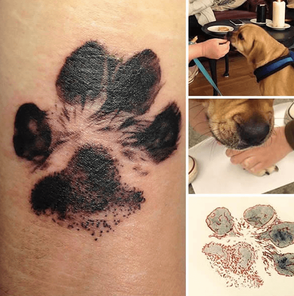 Tatuagens das patas dos cães de estimação estão a fazer as